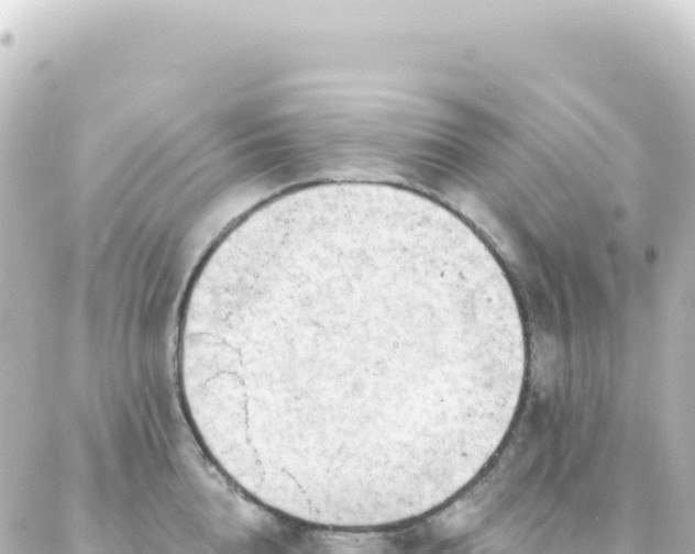 X0000087030856200704232023