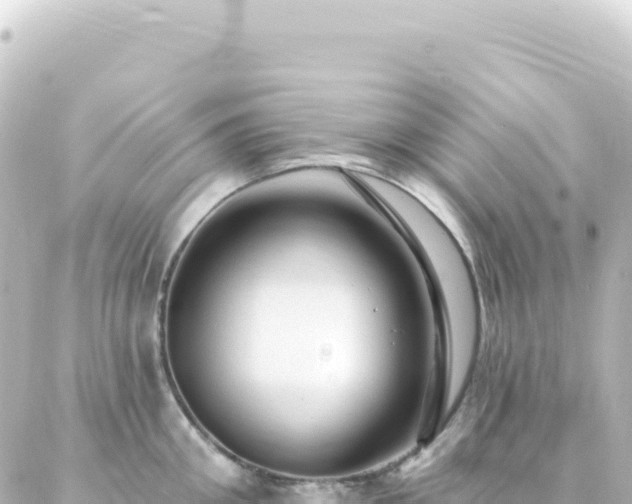 X0000087030906200704232022