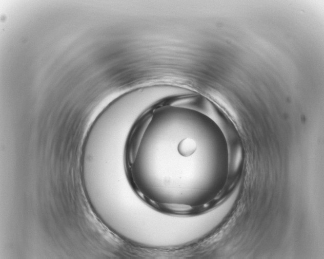 X0000087030948200704232021