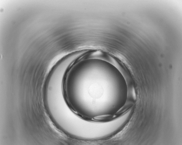 X0000087031030200704232019