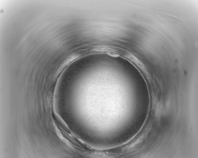 X0000087031049200704232020