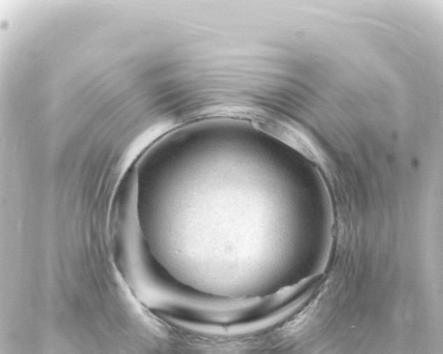 X0000087031050200704232020