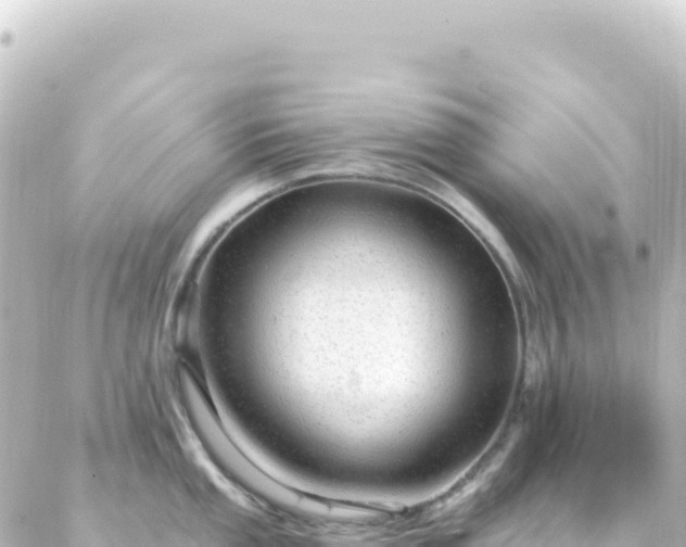 X0000087031053200704232020
