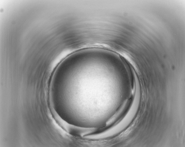 X0000087031054200704232020