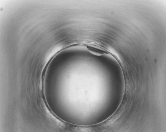 X0000087031095200704232018