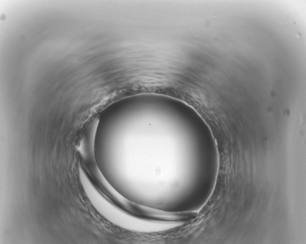 X0000087031109200704232018