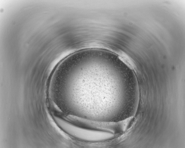 X0000087031142200704232018