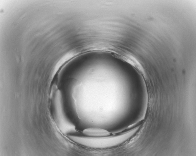 X0000087031146200704232018