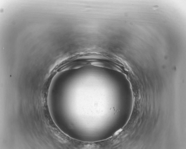 X0000087031160200704232017