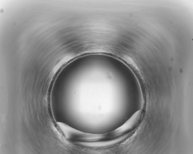 X0000087031181200704232017
