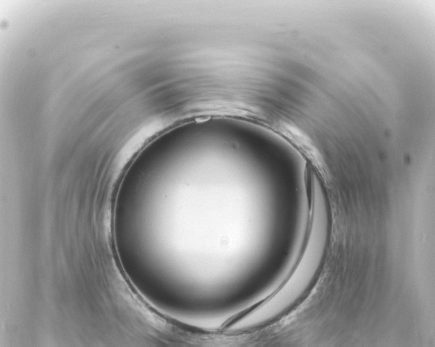 X0000087031188200704232017