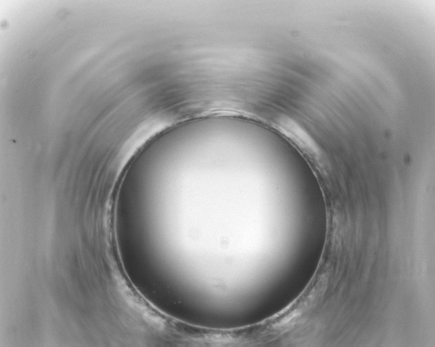 X0000087031190200704232017