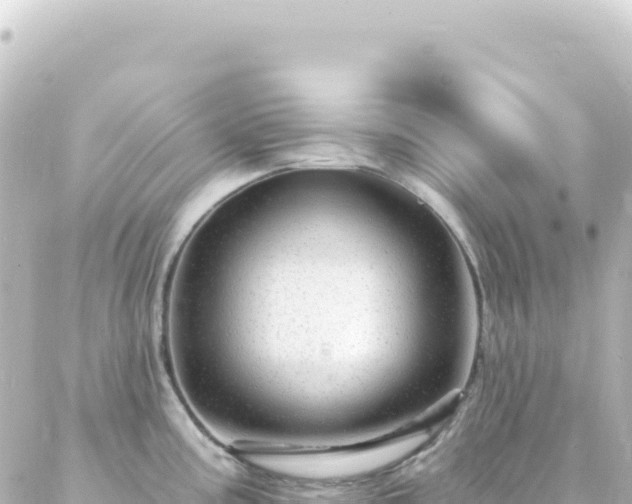 X0000087031195200704232017