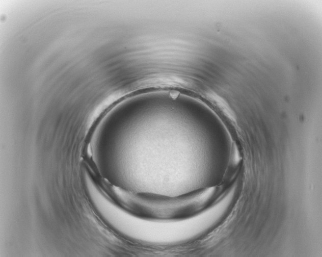 X0000087031226200704232016