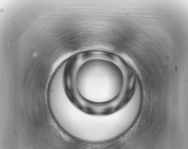 X0000087031230200704232016