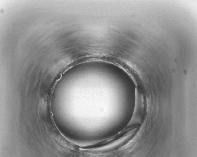 X0000087031257200704232016
