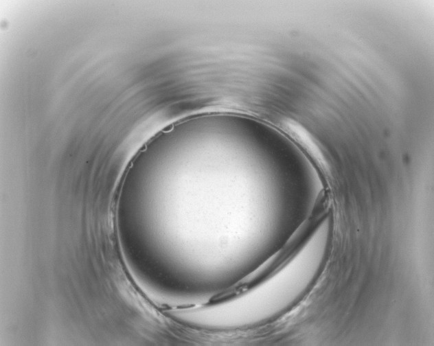 X0000087031292200704232015
