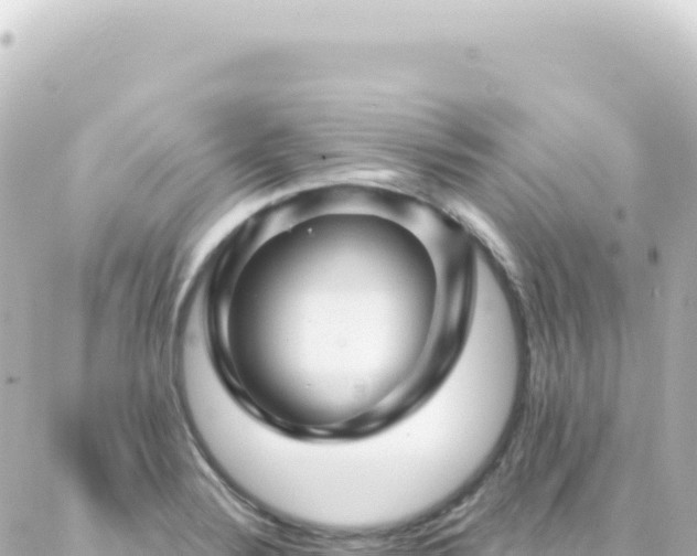 X0000087031324200704232015