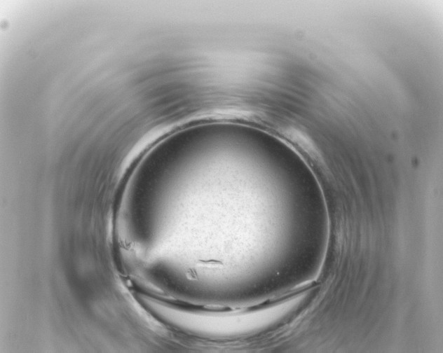 X0000087031420200704232013