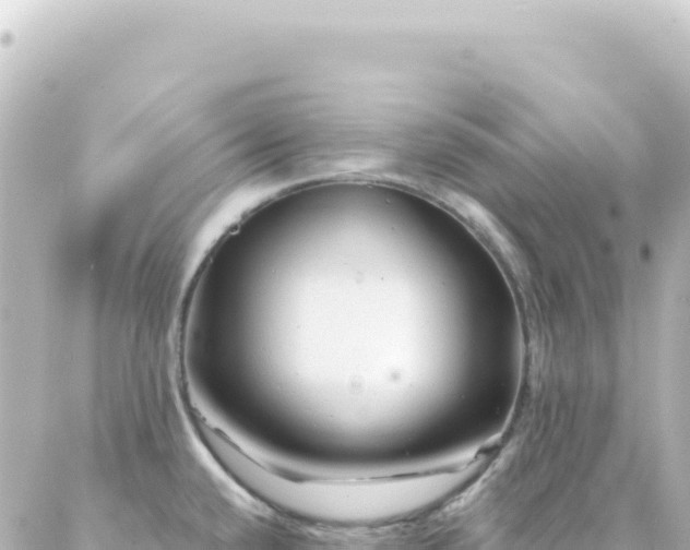 X0000087031432200704232013