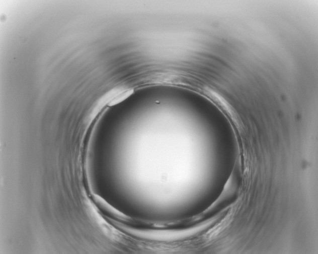 X0000087031434200704232014