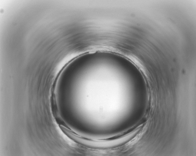 X0000087031438200704232014