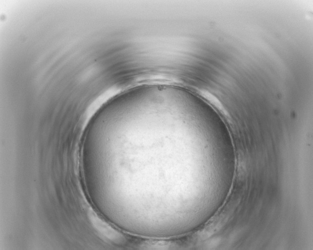 X0000087031474200704232012