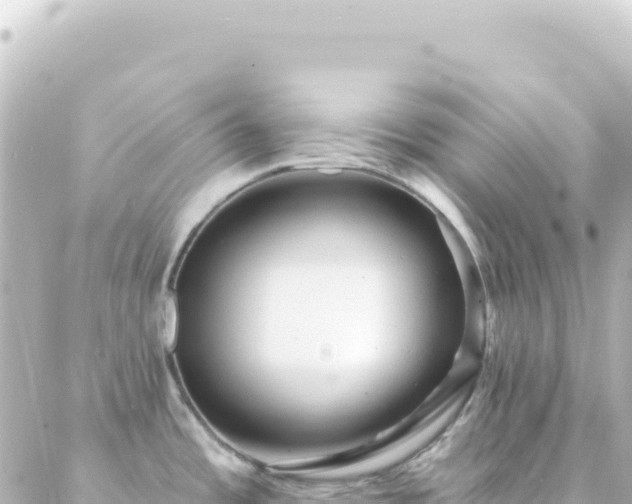 X0000087031485200704232012