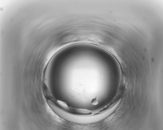 X0000087031532200704232012