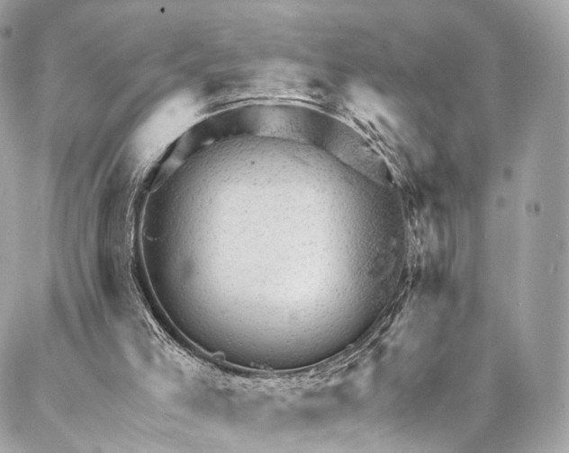 X0000087030005200704301351