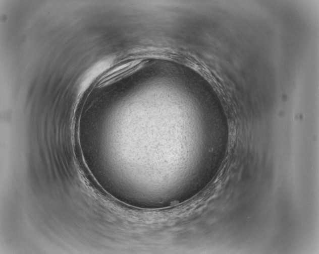 X0000087030006200704301351