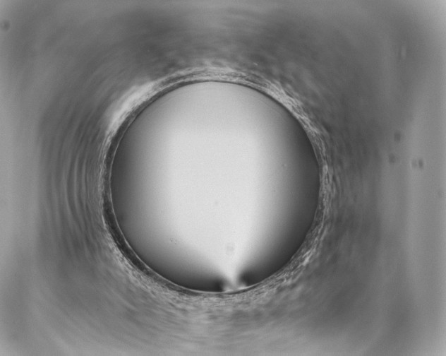 X0000087030007200704301351