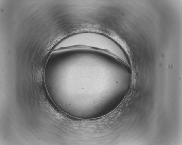 X0000087030009200704301351