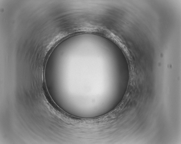 X0000087030011200704301351