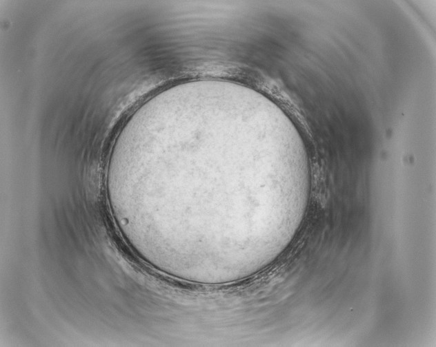 X0000087030012200704301351