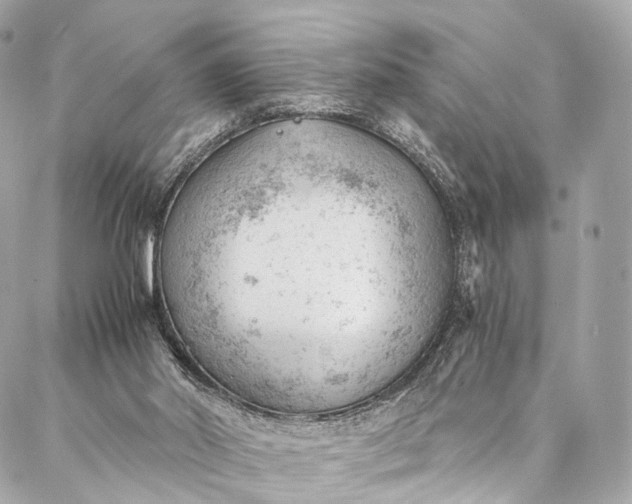 X0000087030014200704301351