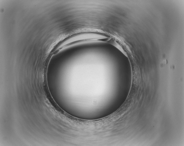 X0000087030015200704301351