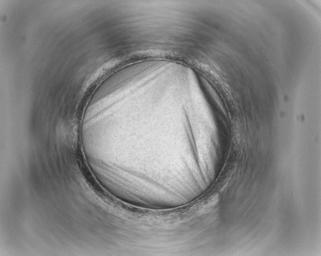 X0000087030016200704301351