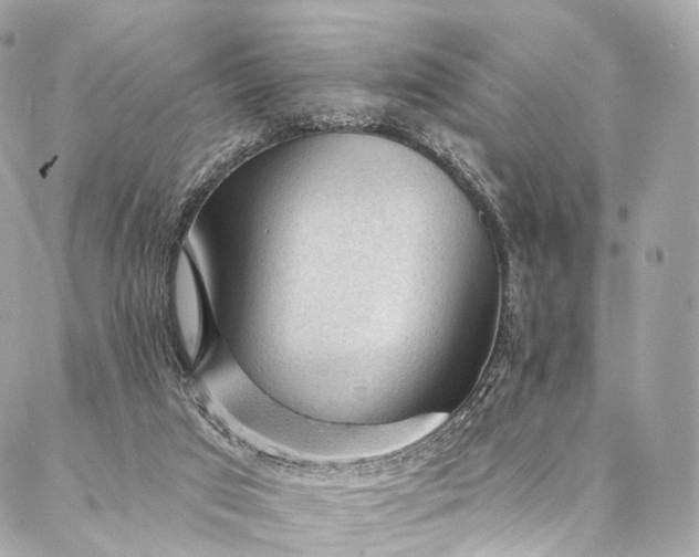 X0000087030017200704301351