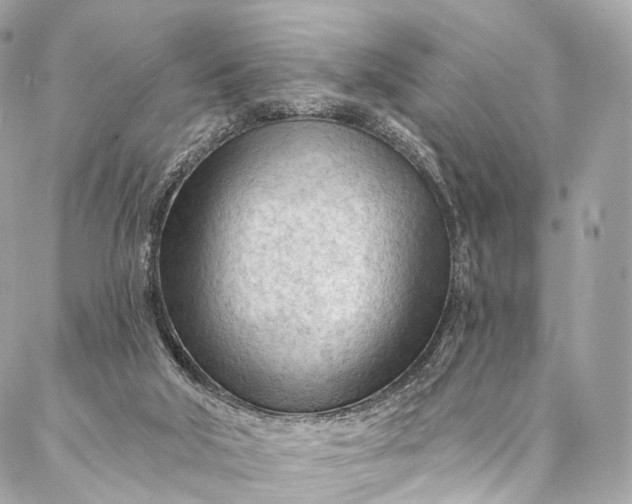 X0000087030018200704301351