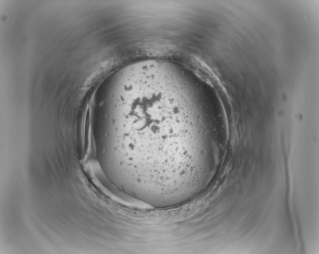 X0000087030019200704301350