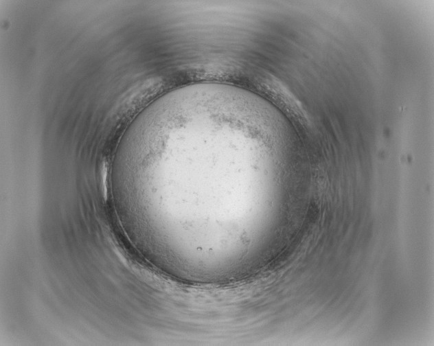 X0000087030022200704301350