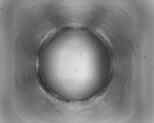 X0000087030024200704301350