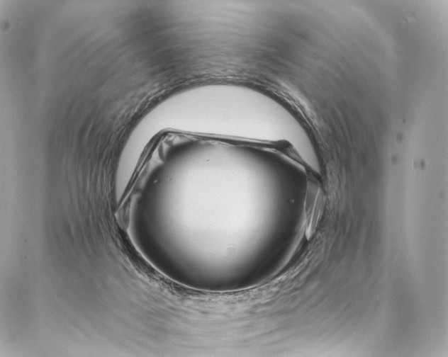 X0000087030025200704301350