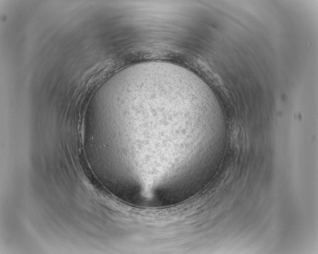 X0000087030026200704301350