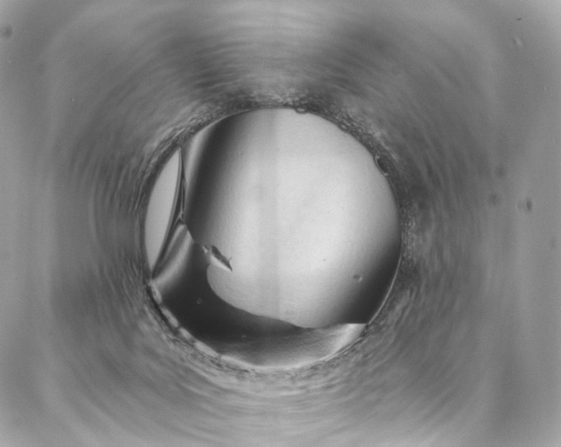 X0000087030027200704301350