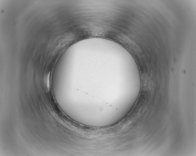 X0000087030028200704301350