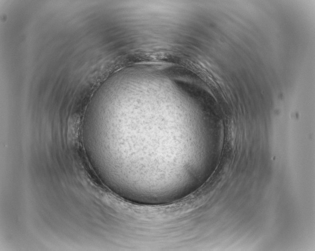 X0000087030030200704301350