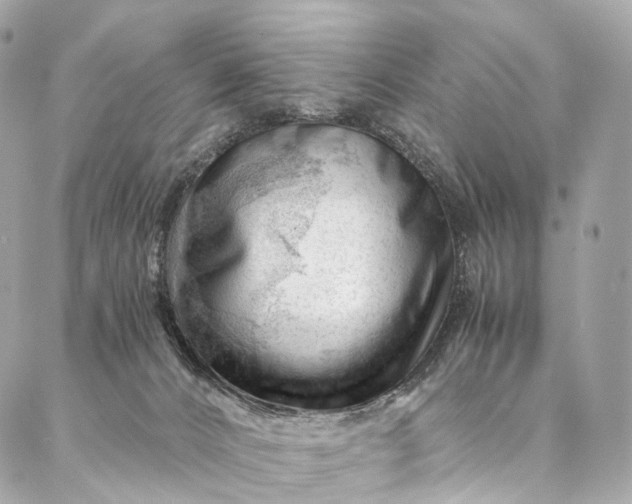 X0000087030032200704301350