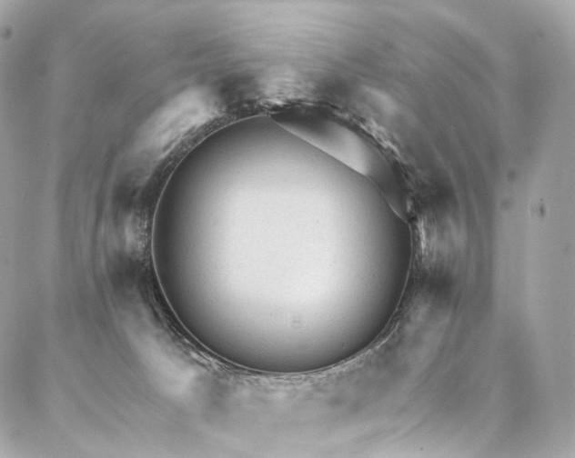 X0000087030033200704301350